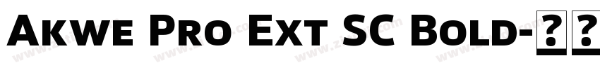 Akwe Pro Ext SC Bold字体转换